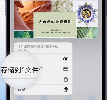 杞县apple维修中心分享iPhone文件应用中存储和找到下载文件