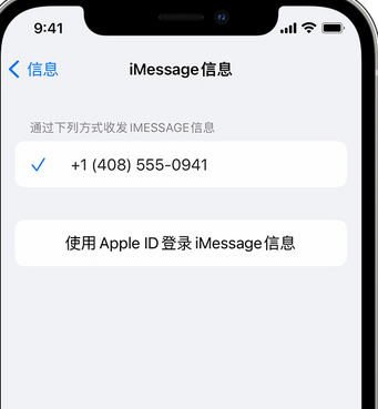 杞县apple维修iPhone上无法正常发送iMessage信息 