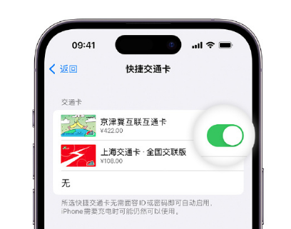 杞县apple维修点分享iPhone上更换Apple Pay快捷交通卡手绘卡面 