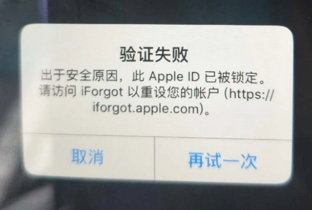 杞县iPhone维修分享iPhone上正常登录或使用AppleID怎么办 