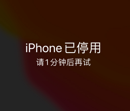 杞县苹果手机维修分享:iPhone 显示“不可用”或“已停用”怎么办？还能保留数据吗？ 