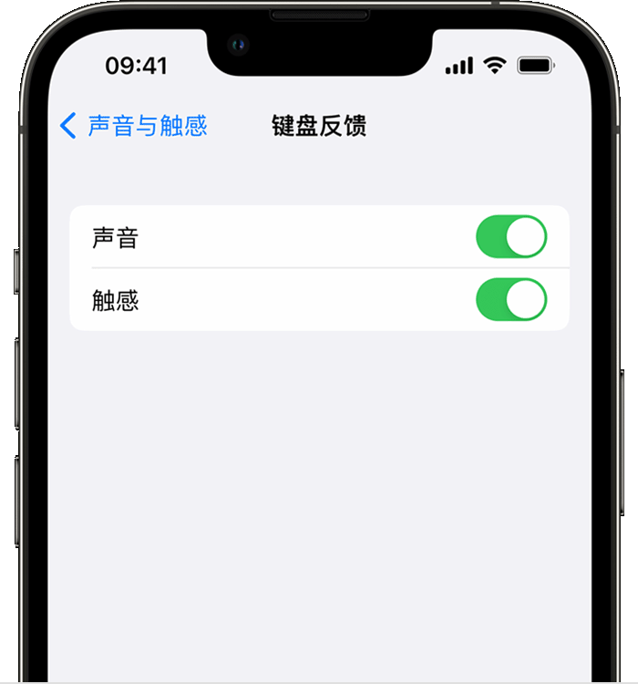 杞县苹果14维修店分享如何在 iPhone 14 机型中使用触感键盘 