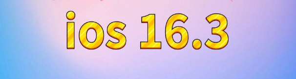 杞县苹果服务网点分享苹果iOS16.3升级反馈汇总 