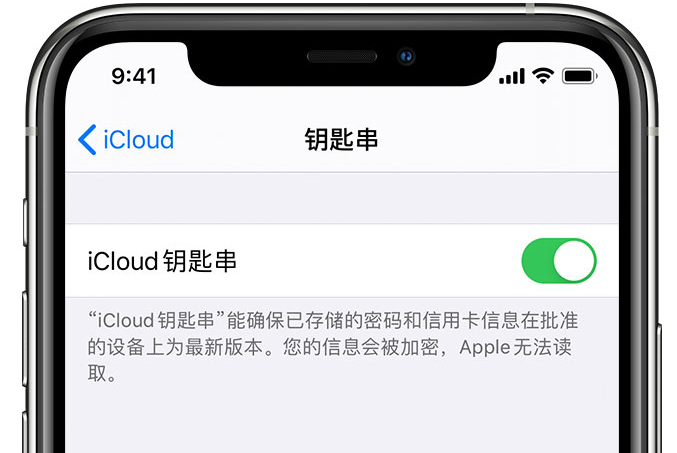 杞县苹果手机维修分享在 iPhone 上开启 iCloud 钥匙串之后会储存哪些信息 