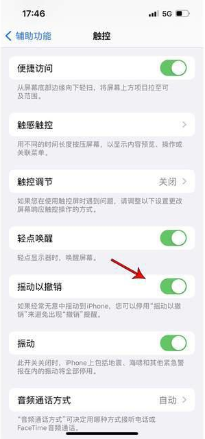 杞县苹果手机维修分享iPhone手机如何设置摇一摇删除文字 